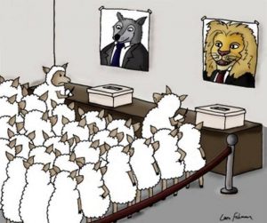گوسپندان امیدوار